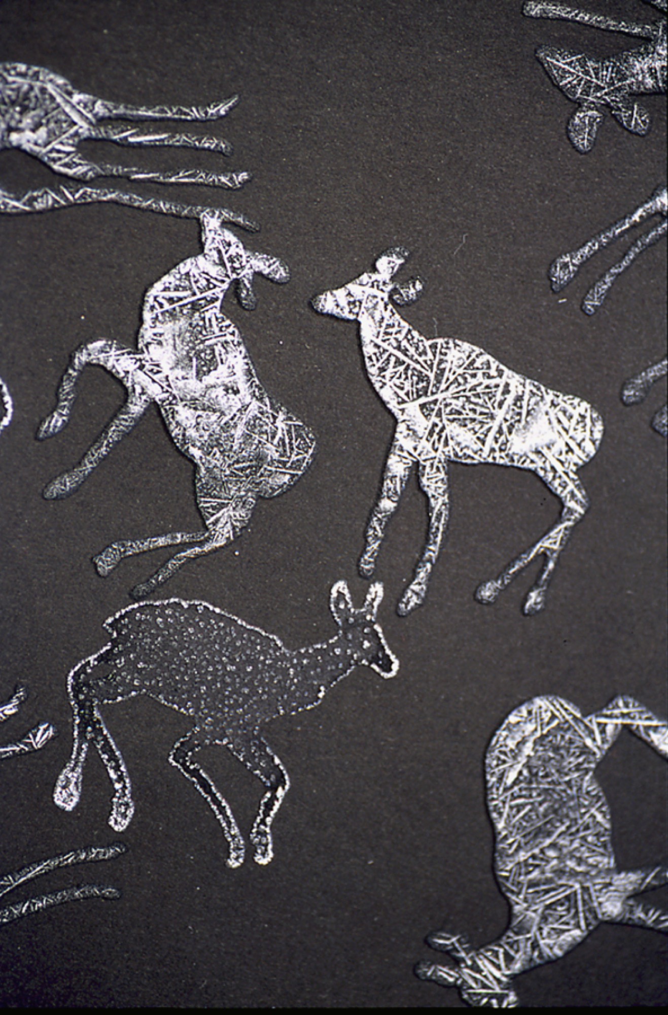Saltanimals